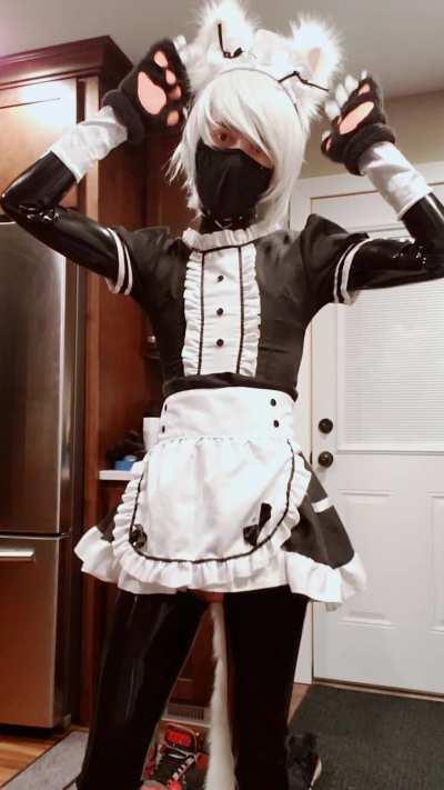 Kitty maid is here to serve you, Master~!