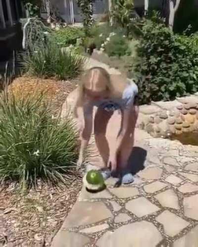 The Watermelon Vendetta.