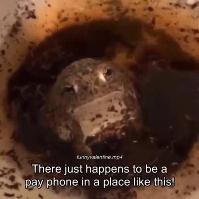 doppio... my sweet doppio