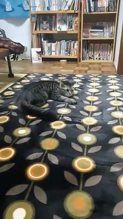 Finding a good texture™ be like