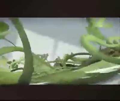 The first cocomelon kid must have been like