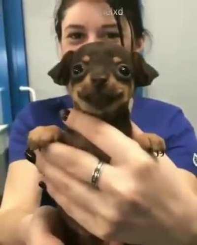 song name? genre - instrumental