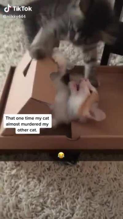 A new tipe of guillotine?