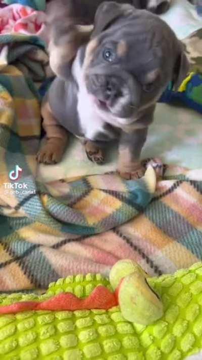 please give one name for him