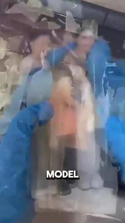 Наконец то твердая единственная причина посетить Японию 