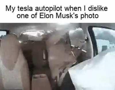 Elon... Pls dont hurt me
