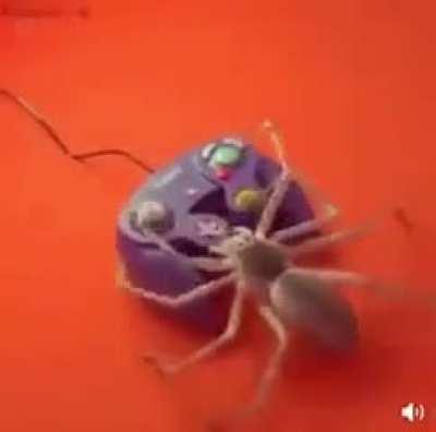 Proof that g#mers are venomous and not human.