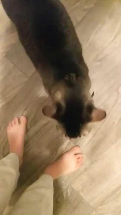 Child locks were added shortly after...