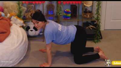 TBT Panda 🐼🚨🔥🚨