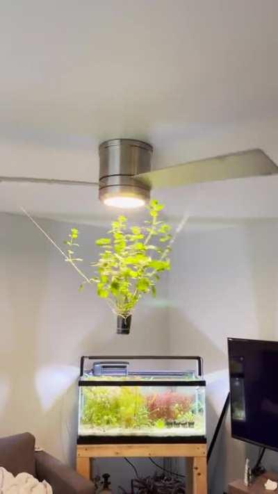 As Per Requests In The Comments Of My Previous Post