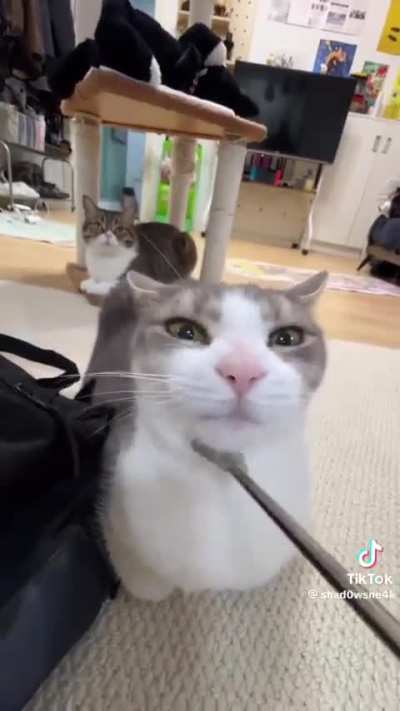 I've failed this subreddit💔