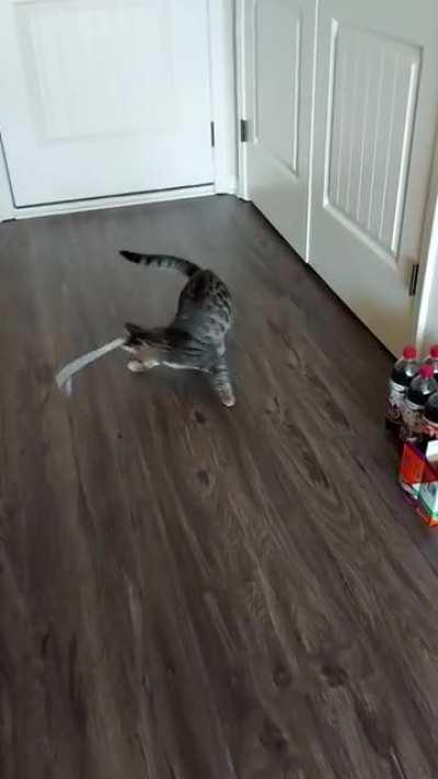 I mean, at least he's keeping himself entertained