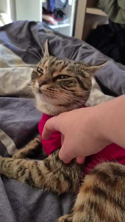 She was grooming me, then paused and threw a stink face... Maybe I taste bad lol