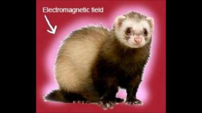 i forgot this place existed lmao oops