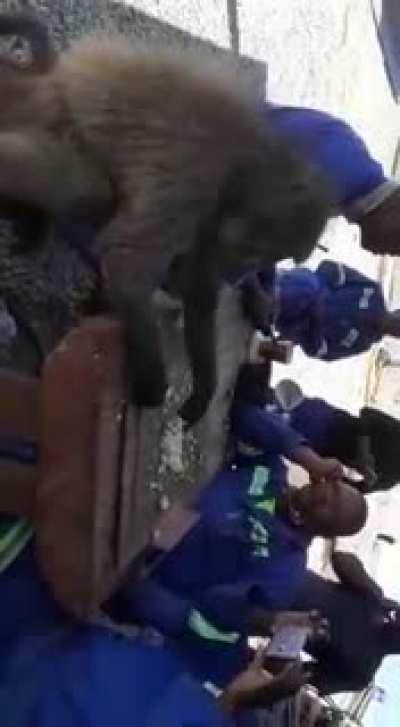 Only in SA. Don't know the context here or the source unfortunately, but he seems like a pretty chill guy. Should invite him to a braai next.