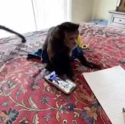 Just let him do his taxes man🤦‍♂️