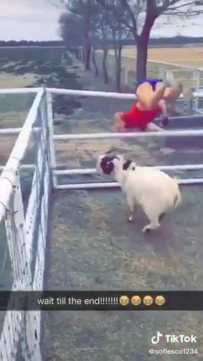 HMC while I get chased by a Goat