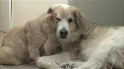 Let’s just be friends