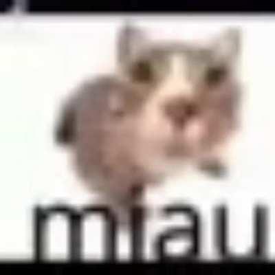 Miau