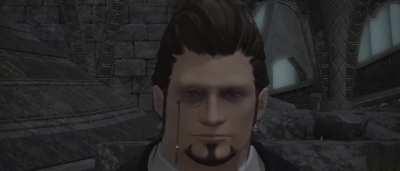 Just Finished Heavensward Hildibrand questline, and as a mediocre video editor, I felt like it was my moral obligation to do this