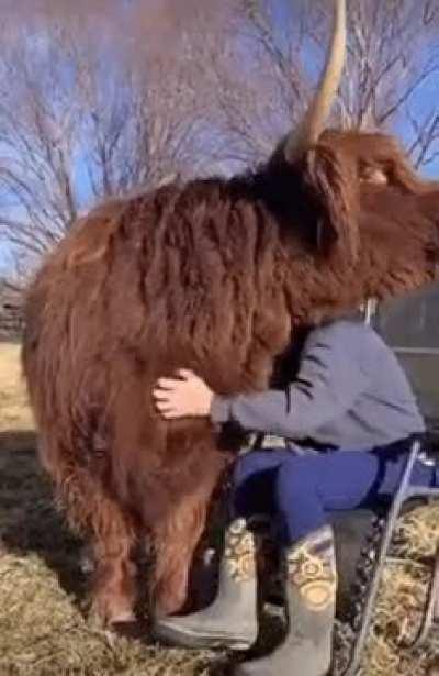 The relationship of these two melts me out of love.