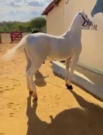 Everyone has liked an advertising model