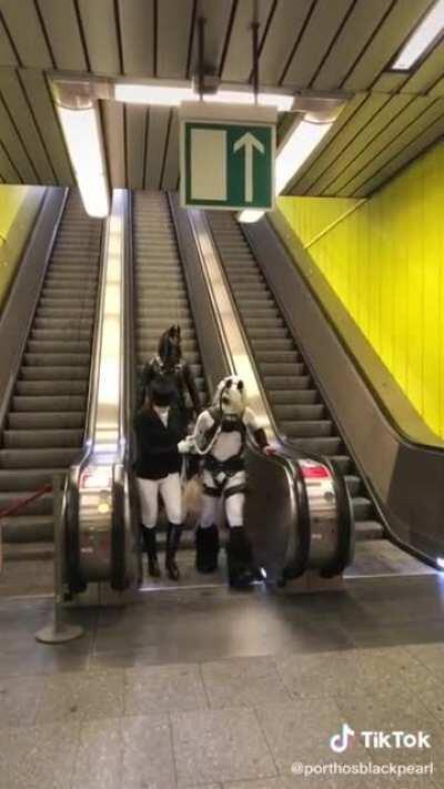 This is our reality now