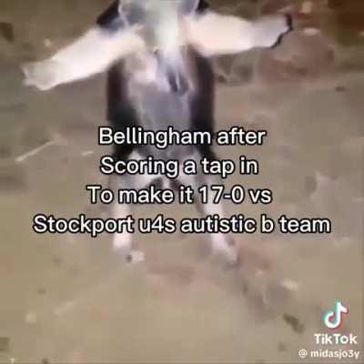 TikTok doing it's regular