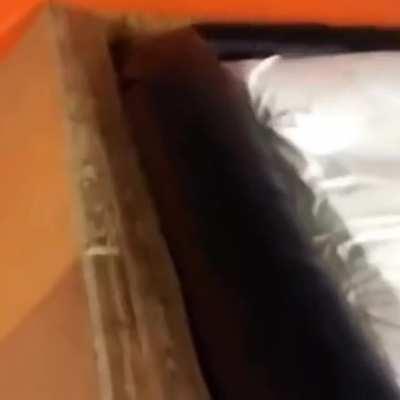 Bro was never seen again