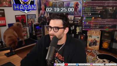 Timelapse of Hasan's dog laying on the same spot for 4 hours and getting zapped when she tries to leave