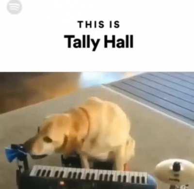 Is this Tally Hall?
