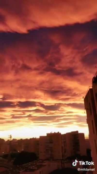 I've never seen skies this beautiful before in my life