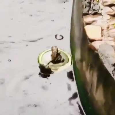 But Rose, I'm freezing!