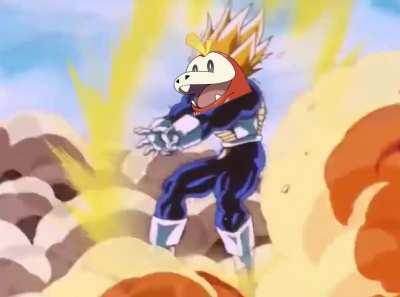 Terastallizing In The First Gym