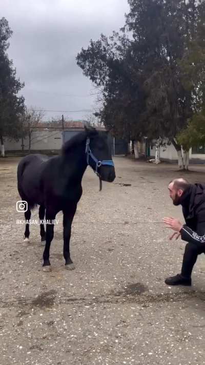 Shamil check his grepling bradar