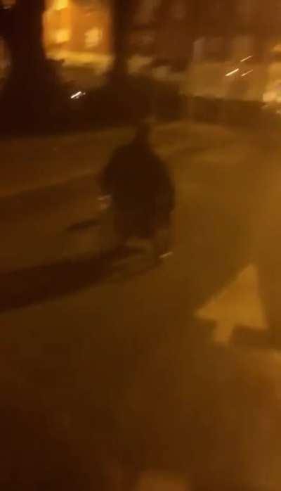 Ireland in a nutshell