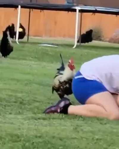 STEpsister pOundED oUtdOOrS BY a BIG cOCK