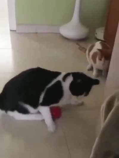 What if I sit on it..