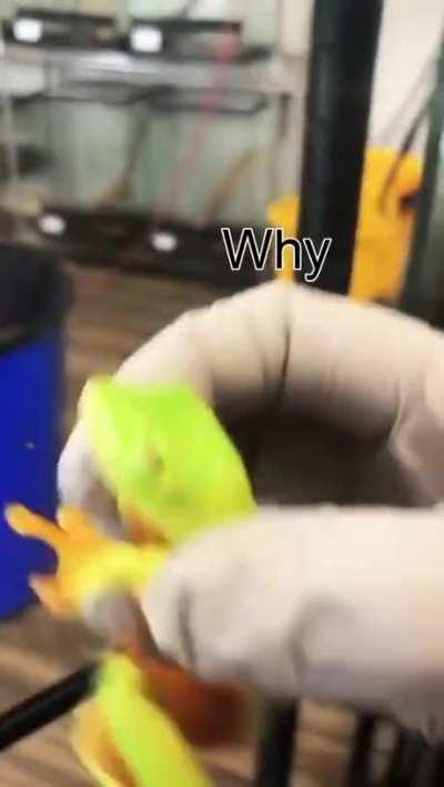 Those cute eyes like marbles :))