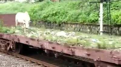 Oh it's a normal train, oh wait