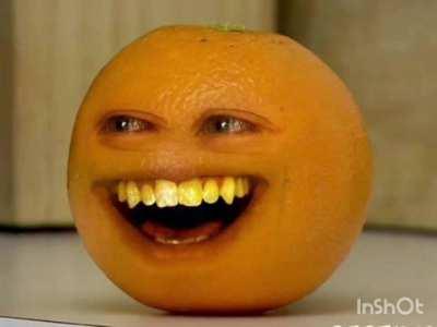 annoying orange
