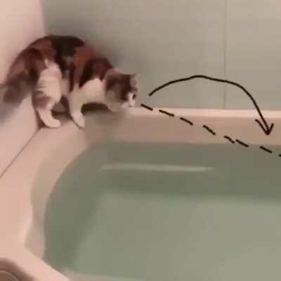 Well... that didn't go as planned!