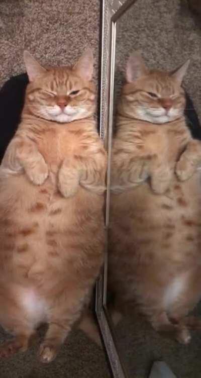 Oh hey there, who is this handsome little son of a b&!@h?!