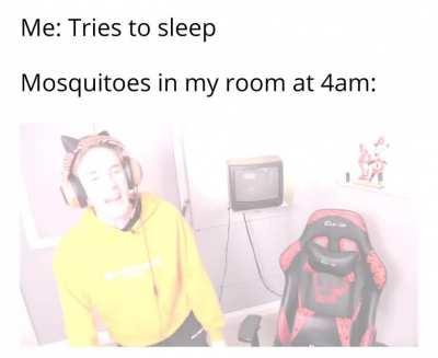 They do be vibin' tho