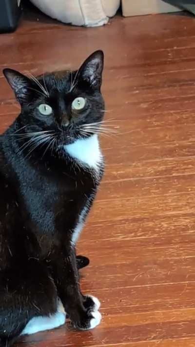 Pitiful deflating balloon called Janeway