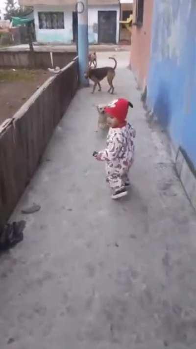 Look for the ball, it's a glitch in the matrix