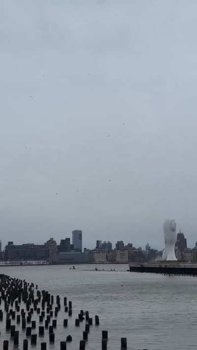 Helicopter crash in Hudson River