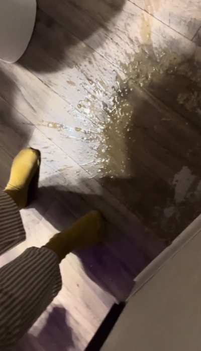 Why go in the toilet when you can just make a mess..?😅🤷🏽‍♀️😇