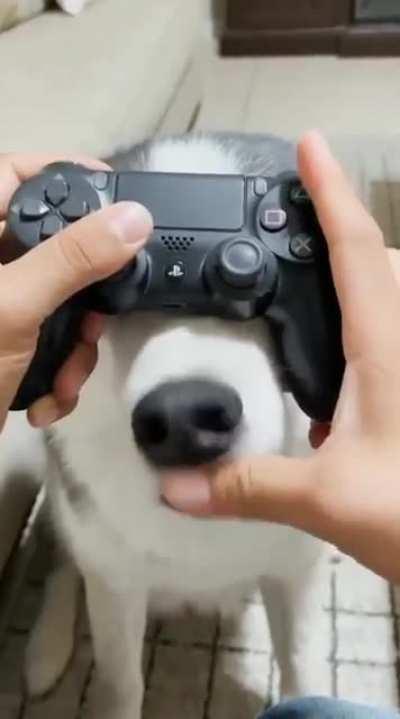 My new controller :)