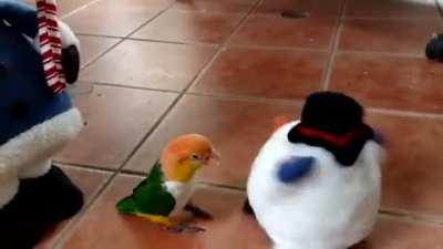 You seeing this fucking snowman?